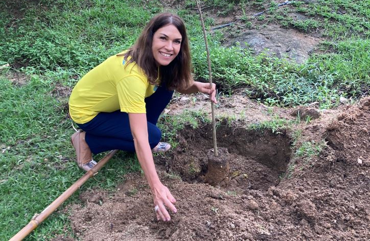 Eveline plantio 1 724 por 487